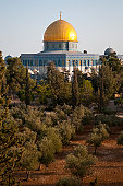 耶路撒冷的岩石圆顶，前景是橄榄树