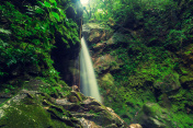 哥斯达黎加的小瀑布