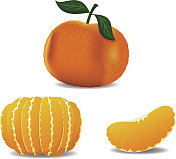 橘子集