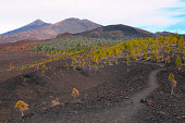 特内里费国家公园的Pico del Teide和Viejo火山