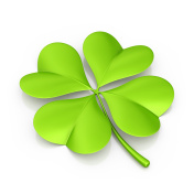 四叶苜蓿 四叶苜蓿