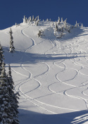 山坡上的新鲜滑雪道