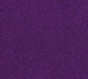紫色闪光