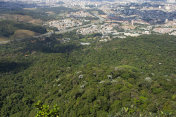 Pico do Jaragua -圣保罗市