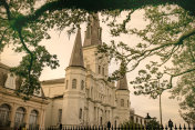 圣路易斯大教堂，橡树枝，黑吃，新奥尔良