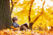 在秋天的森林里读书