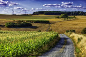 乡村景观中的乡村道路(HDRi)