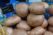 伦敦博罗市场的蘑菇