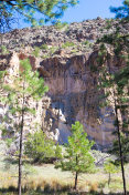 Bandelier国家纪念碑，NM:峡谷墙和树