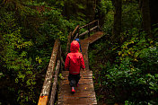 温哥华岛雨林