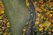 穿越秋天森林的道路-鸟瞰图