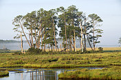 Chincoteague岛的风景