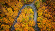 穿越秋天森林的道路-鸟瞰图