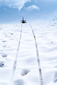 雪地上的雪橇印记