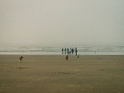 印度西孟加拉邦的Tajpur海滩。
