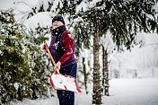 大雪过后，高年级学生清理树上的积雪