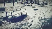 城市公园的冬天