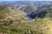 Ribeira Sacra的葡萄园