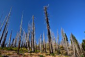 拉森火山国家公园