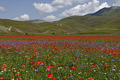 诺西亚Castelluccio, Norcia，(意大利语)