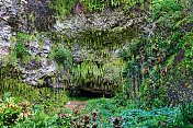 考艾岛的蕨洞