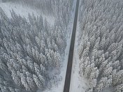 道路穿过冬天积雪覆盖的森林