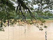 马来西亚半岛Pahang River