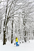 女徒步旅行者一边享受着令人难以置信的冬季森林景色，一边用她的雪鞋踏着厚厚的积雪