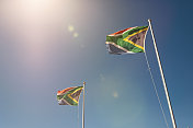 阳光下两面迎风飘扬的南非国旗