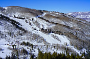 比弗溪滑雪科罗拉多山景冬季