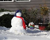 戴着红围巾和蓝帽子的雪人