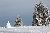 德国温特堡附近，白雪覆盖的树林中堆着雪人