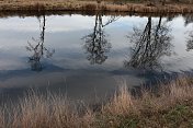 一排树和云倒映在湖面上