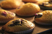 热烤箱中不粘松饼盘上自制蓝莓松饼的图片，家庭烘焙照片