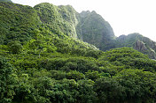 艾奥谷州立公园，毛伊岛，夏威夷，美国
