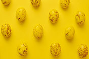 在明亮的黄色背景下布置迷你巧克力复活节彩蛋。