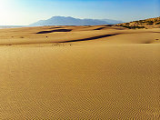 帕塔拉海滩上的沙丘