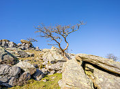 英国约克郡山谷的石灰岩风景