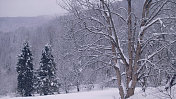 冬季仙境。的雪山风景