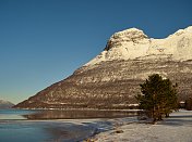 林根阿尔卑斯的雪峰，有峡湾和苏格兰松- 1