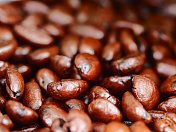 宏观的种子咖啡豆