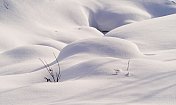 拉普兰的圆形雪和树枝