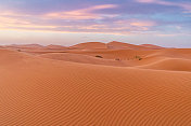 撒哈拉沙漠的日落。巨大的橙色沙色沙丘和多云的天空在Merzouga沙漠，摩洛哥。