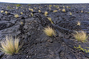 美国夏威夷大岛的火山景观