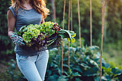 自产蔬菜，健康的素食生活方式