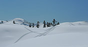 艺术家Point Snowshoe, North Cascades