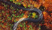 头顶鸟瞰图，蜿蜒的山路内五颜六色的秋天森林