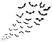 飞行蝙蝠图标集