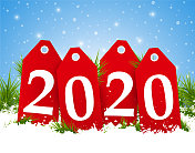 2020年