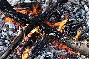 燃烧的木头特写，火